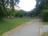 20190726_Park kneza Branimira_sl3~1.jpg